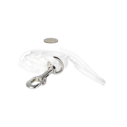 Neodym-Fischmagnet Ø60 x 15 mm 130 kg Zugkraft NiCuNi – Set mit 20 m Seil, Ösenmutter, Bolzen und Karabiner