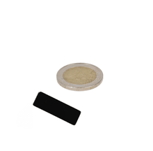 Neodymium Blokmagneet 30 x 10 x 2,5 mm N48 Epoxy - Magnetenspecialist Import & Export B.V.