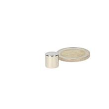 Neodymium Schijfmagneet Ø10 x 10 mm N48 NiCuNi - Magnetenspecialist Import & Export B.V.
