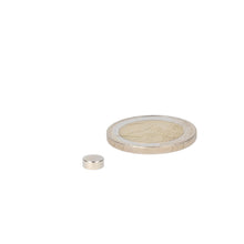 Neodymium Schijfmagneet Ø6 x 2,5 mm N48 NiCuNi diametraal gemagnetiseerd - Magnetenspecialist Import & Export B.V.